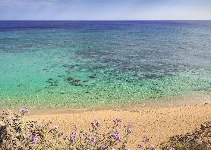 بيت للعطل Le Perle